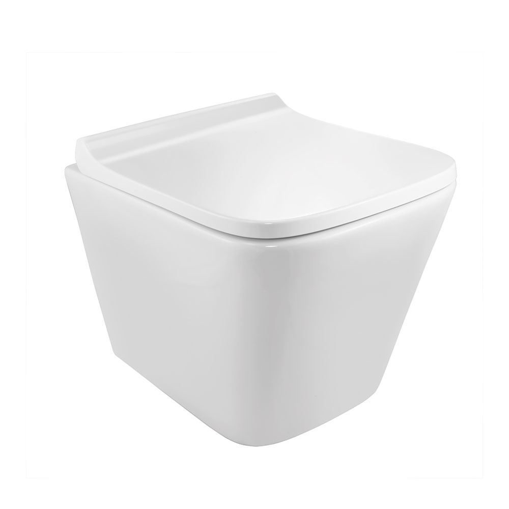 ARIA Rimless, Blind Installation Wall Hung WC - Online Hardware Store ...