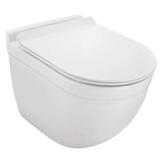 SOLO Rimless, Blind Installation Wall Hung WC - Online Hardware Store ...