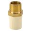 Picture of ITPF: CPVC Hexa Male Socket 20x15mm