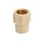 Picture of CPVC Female Brass Adaptor: 25 mm