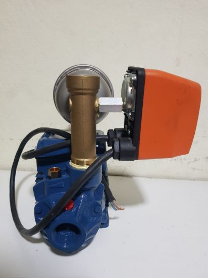 Picture of PEDROLLO: Pressure Pump 0.5HP