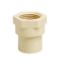 Picture of CPVC Female Socket: 40X40 mm