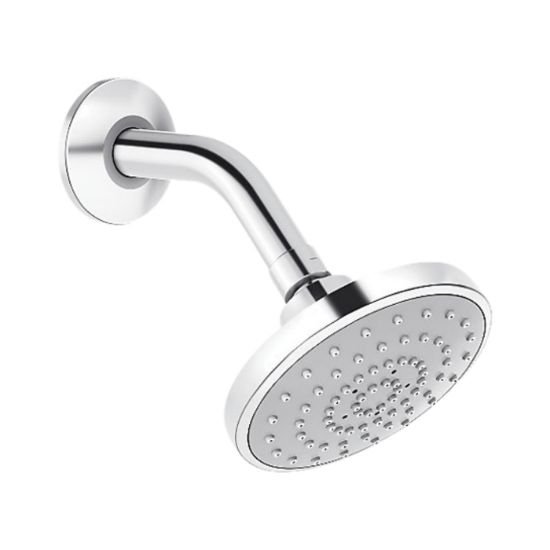 Picture of KOHLER: Rain Duet Single Function Organic Showerhead