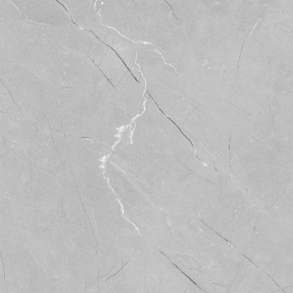 Picture of Kajaria: GVT Polished Hd French Grey 9mm: 600X600mm