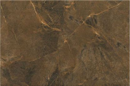 Picture of Kajaria: Ceramics Digital Glossy Lyptus Copper: 30x45cm