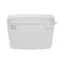 Picture of Parryware: Economy Single Flush ISI Plastic Cistern: White